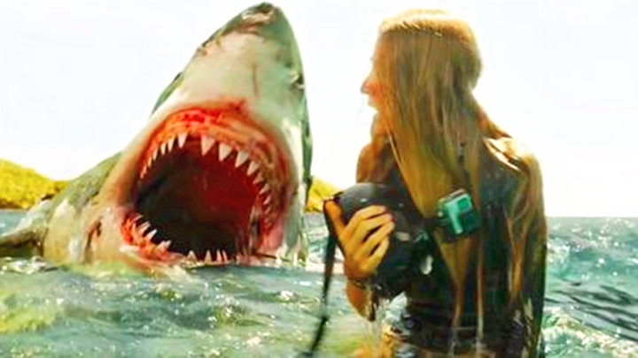 《电影鲨滩》比基尼美女大战鲨鱼,太惊险刺激了