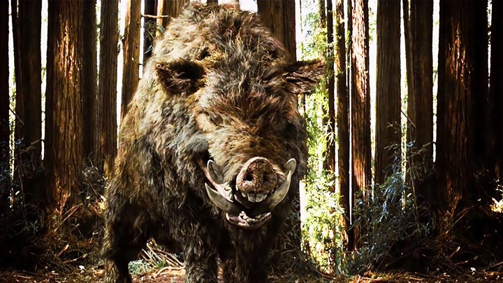 600斤的食人猪你见过吗，见人就吃。4分钟看完韩国恐怖片