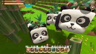 墨渊解说迷你世界竹林中的3只熊猫望眼欲穿盼望跟我回家