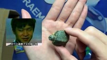 男子《贪便宜》1元网购了一只乌龟，开箱后，差点翻车！