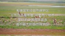 [图]羌塘国家级自然保护区：野生动物的“家园”