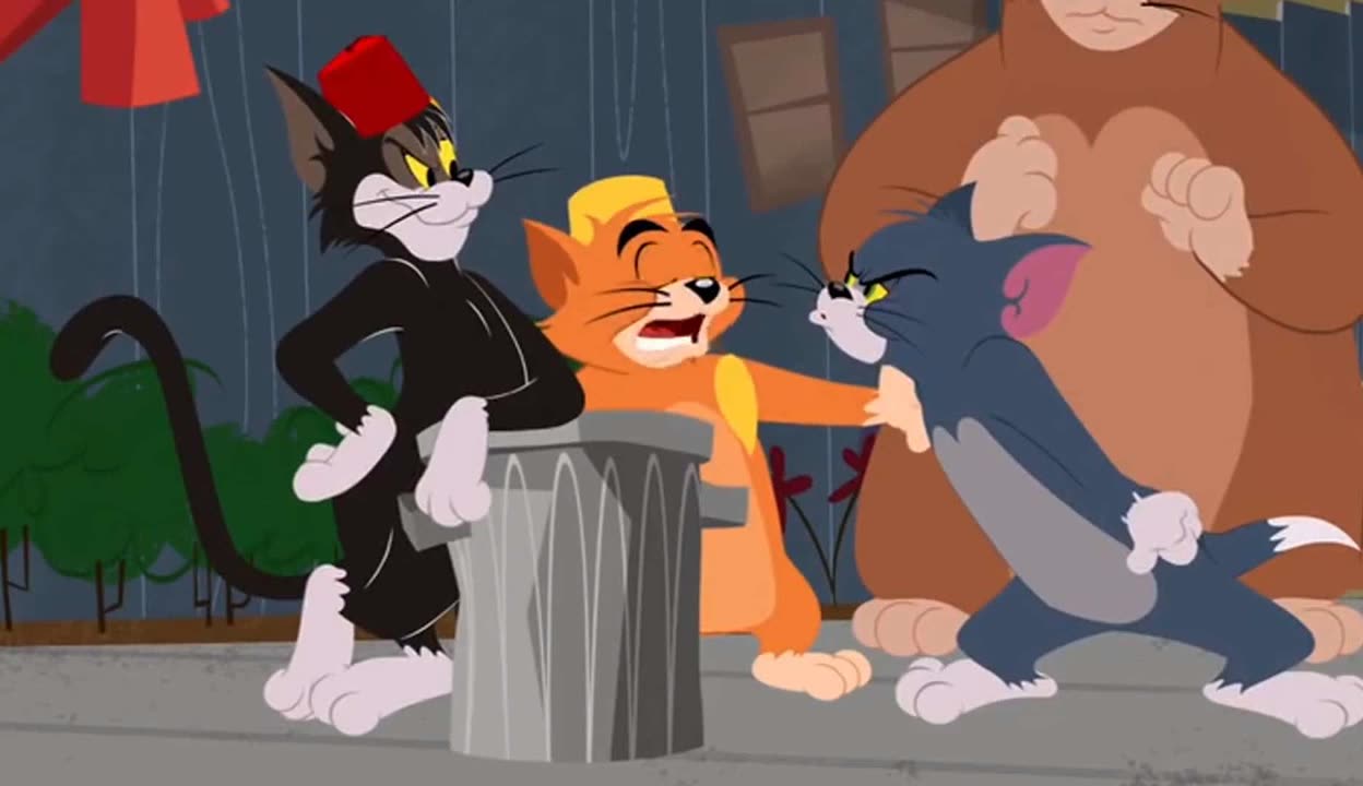 猫和老鼠:流浪猫和汤姆要抓杰瑞,幸亏有斯派克和泰克帮忙