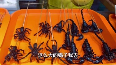 炸蜘蛛,炸蠍子,炸蜈蚣,80一串,看到此視頻, 你敢吃嗎?