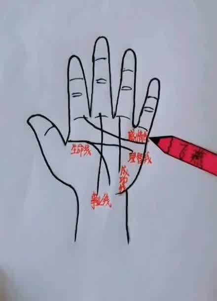 手掌横纹是什么名字吗