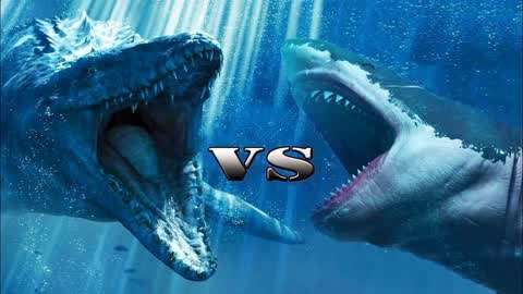 旋齿鲨vs巨齿鲨图片