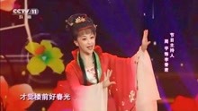 曹震，周宇共同演唱黄梅戏《桃花扇》选段，表演生动形象！
