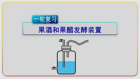 高中生物选修一～果酒和果醋发酵装置