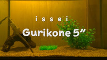 【issei】Gurikone 5inch水下泳姿