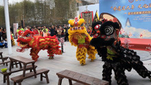 [图]桃花盛开的季节，广东醒狮演绎《桃园结义》，实现人生美好理想