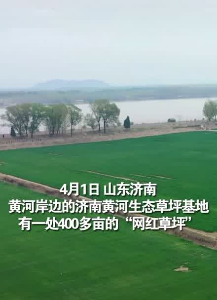 黄河生态草坪位置图片