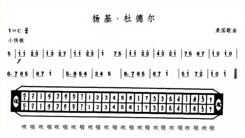 扬基·杜德尔图片