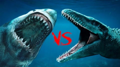 巨齿鲨vs沧龙,谁才是海洋中的王者?