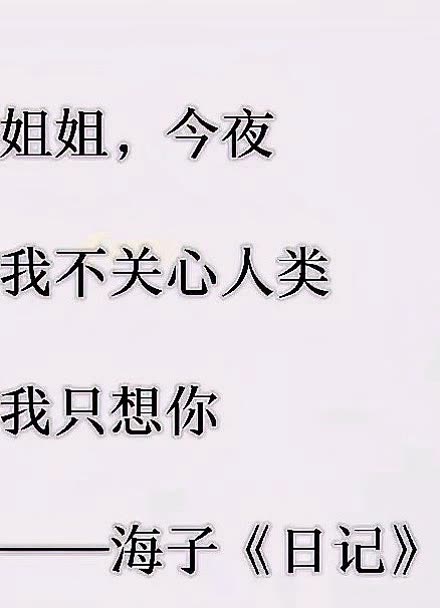 姐姐,今夜我不关心人类,我只想你—海子《日记》