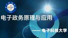 【电子科技大学】电子政务原理与应用 汤志伟