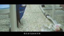 两江巴蜀中学2021年初三毕业纪念视频