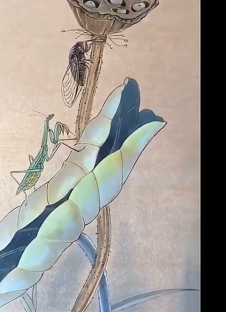 工笔画:螳螂捕蝉绘制