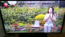 戴萌 时间的歌东方卫视东方风云榜闪电咖啡馆2021年8月15日现场版