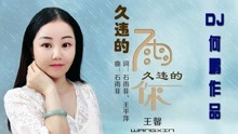 [图]王馨-《久违的雨久违的你》DJ何鹏版，点点滴滴都是回忆！