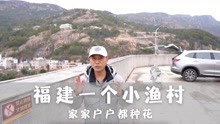 [图]福建一个小渔村，家家户户都种花，天天都是面朝大海春暖花开