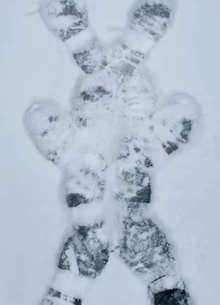 雪地兔子爪子印图片图片