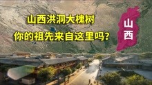 [图]寻根之地，山西洪洞大槐树，中国有多少姓氏是从这迁移过来的？