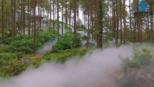 重庆景区雾森造景系统设备公司 喷雾设备降温造景一举两得
