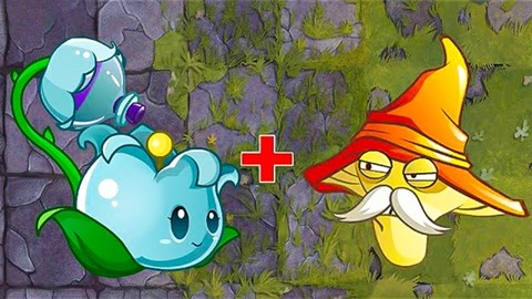 pvz2植物大战僵尸 烈焰菇 vs 芦藜药师