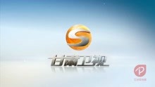 2014甘肃卫视（甘肃胡杨ID）[艾迪普]