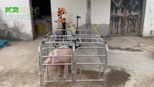 乔戈里智慧养殖解决方案-生猪自动注射机器人