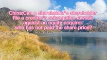China：Can a shareholder's shareholder file a credit