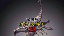 纪录片：第一个登陆的远古生物布龙度蝎子与开启灵智的海纳皮东。