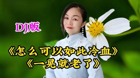 火爆dj情歌《怎么可以如此冷血《一晃就老了》声声催泪动感好听