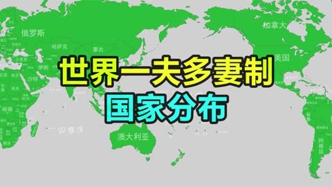 美国允许一夫多妻图片