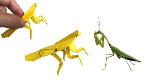 高级螳螂折纸图解图片