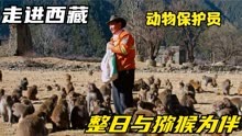 西藏林芝市，动物保护员多布杰，整日与猕猴为伴