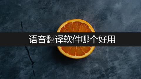 語音翻譯軟件哪個好用?一分鐘教會你