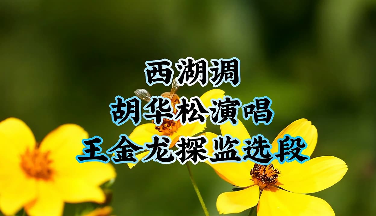 湖南花鼓戏西湖调图片