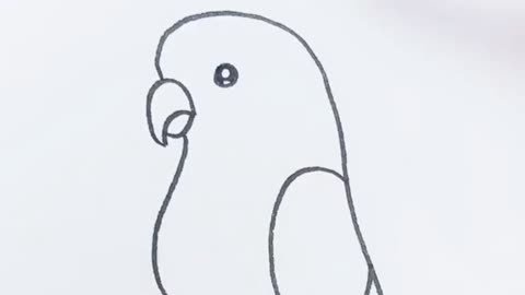 简笔画鹦鹉怎么画图片