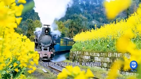 阳春三月,又到坐犍为·嘉阳蒸汽小火车穿越油菜花的季节了