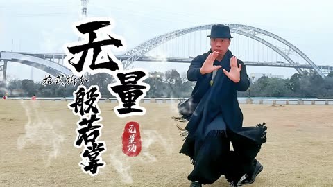 修炼武术30年,武林秘籍《无量般若掌》真正的招式拆分来了