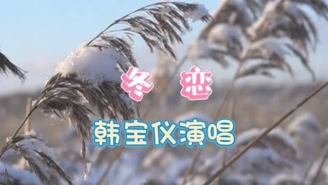 冬至快乐!舞一曲《冬恋》,甜美动听歌声,柔美舒展的舞蹈,好美