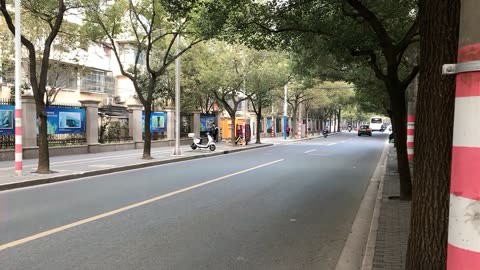 宝山淞滨路图片