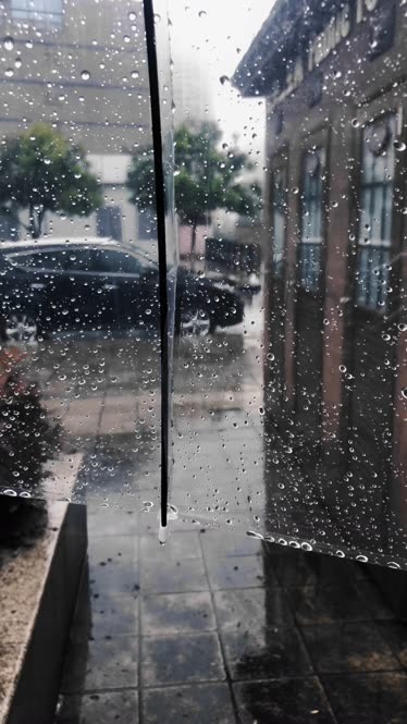 雨伞在地上图片伤感图片