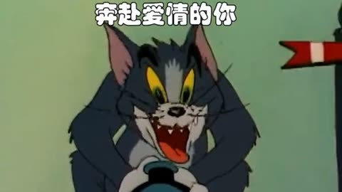 爱情我来了  猫和老鼠  搞笑  动漫