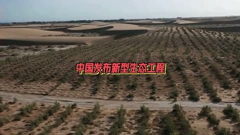 荒漠化治理新篇章:120公里"锁边林"筑起防沙屏障