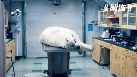电影《解冻》02 全球变暖冰川融化,科学家发现了一只猛犸象尸体