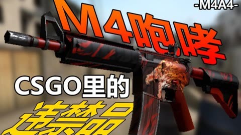 价值仅限龙狙?【csgo皮肤故事】