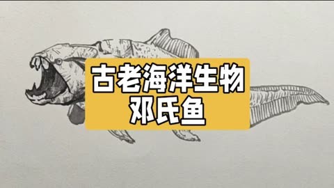 画一条古老的鱼